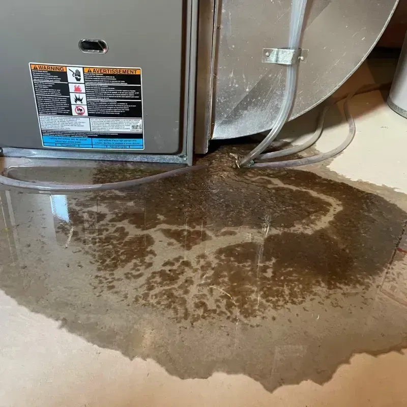 Appliance Leak Cleanup in Nashville, WI